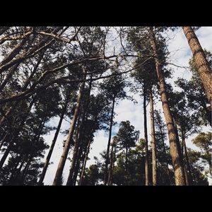 Meet your Posher, Lilly